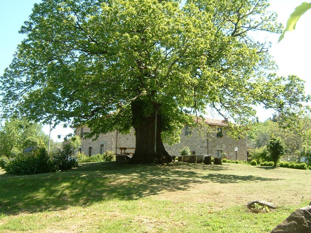 세지아노 Antico Casale Pozzuolo 빌라 외부 사진
